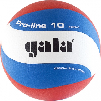 Волейбольный мяч GALA Pro-Line 10 BV5581S р.5 белый-голубой-красный